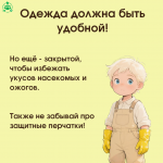 Огород 3